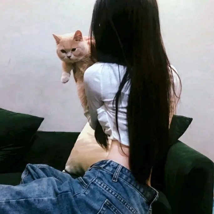 莲花