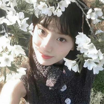 白天与黑夜